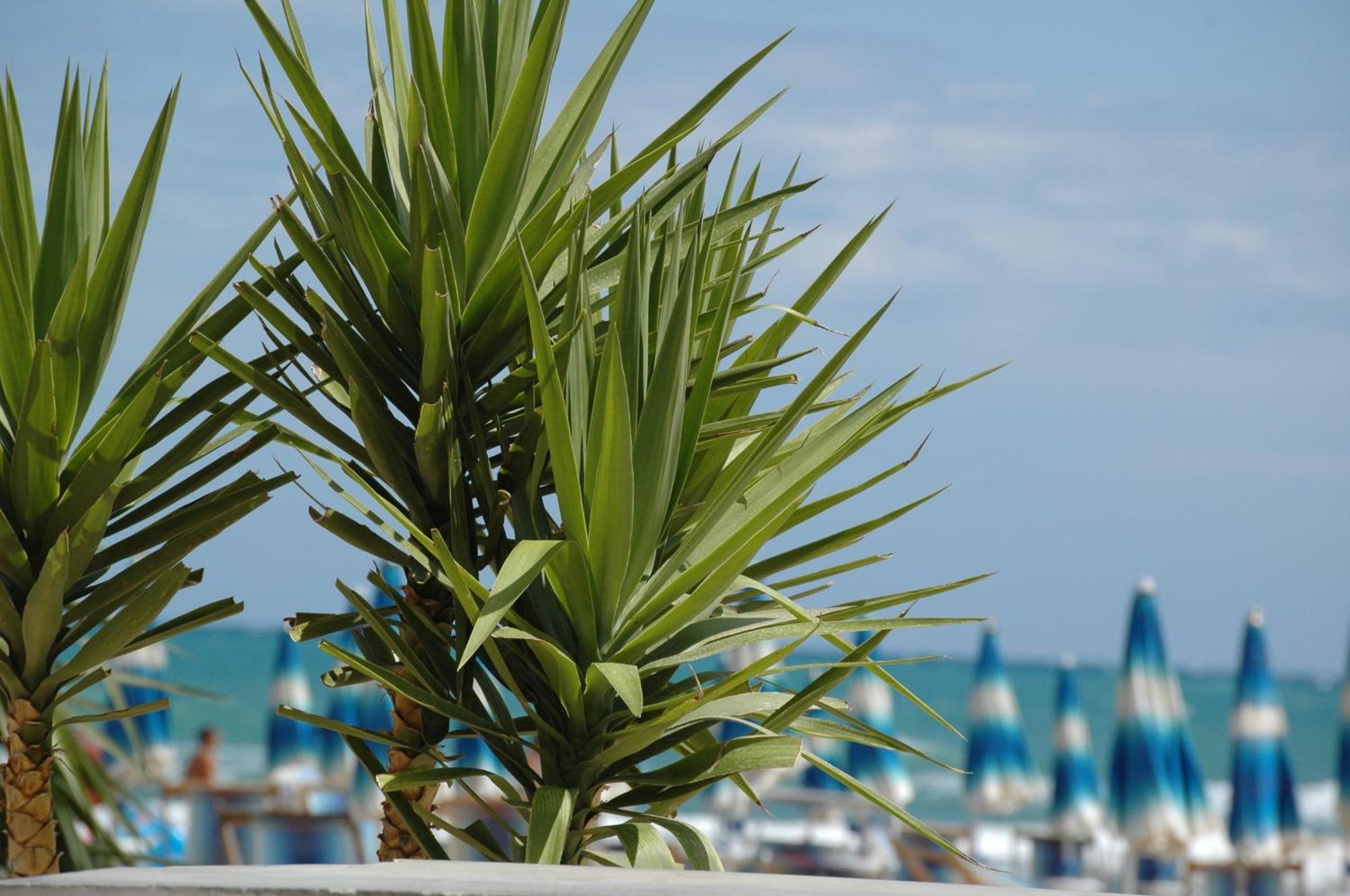 Holiday park Baia Degli Aranci Suite & Apartments Vieste