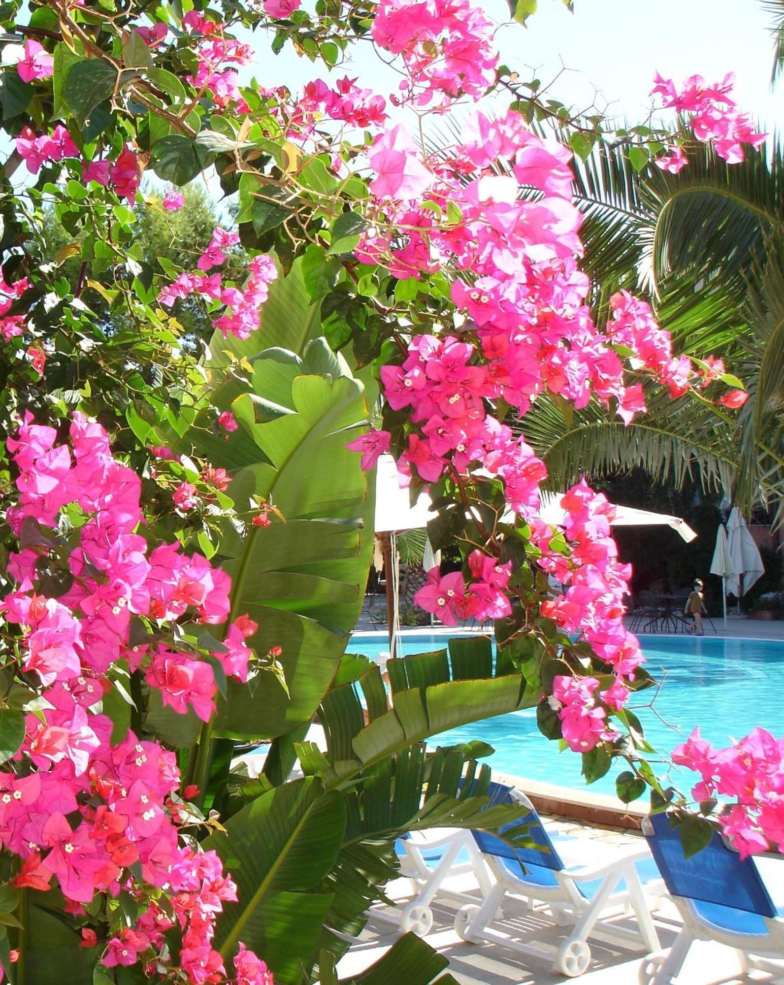 Baia Degli Aranci Suite & Apartments Vieste