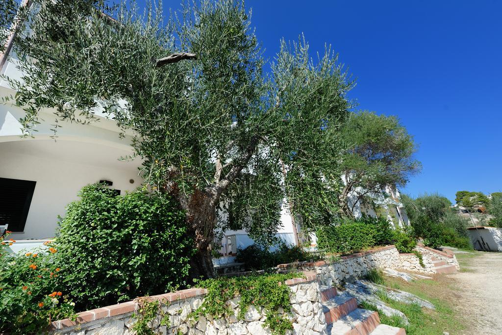 Baia Degli Aranci Suite & Apartments 4* Vieste