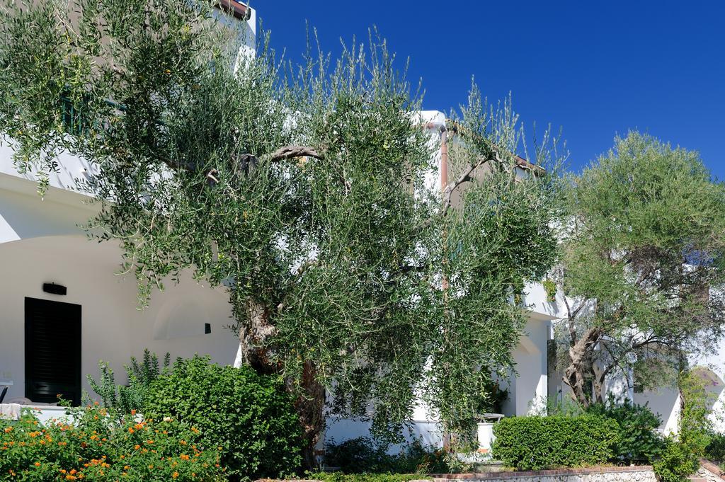 Ferienpark Baia Degli Aranci Suite & Apartments 4*